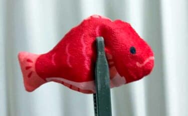 「水温一桁台の海は厳しい！」釣りのオフシーズンに釣り人がやっていることとは？