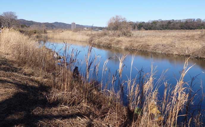 今週のヘラブナ推薦釣り場2026【神奈川・千代田下】