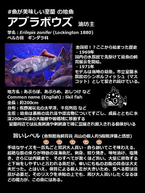 展示板には生物の解説だけではなく、飼育員による詳細な食リポまでが記されているのもこの水族館の特徴だ
