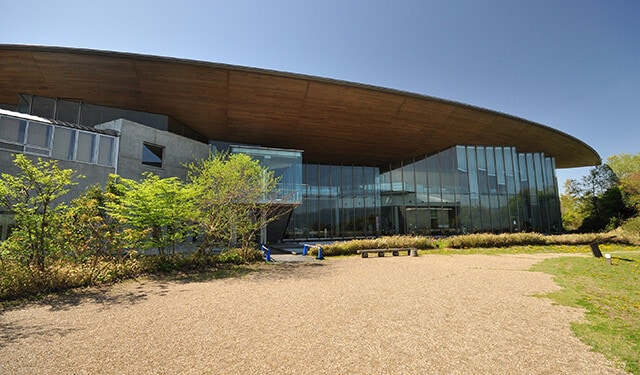 琵琶湖をそのまま切り取った淡水魚水族館で大ナマズが待つ【滋賀県立琵琶湖博物館】