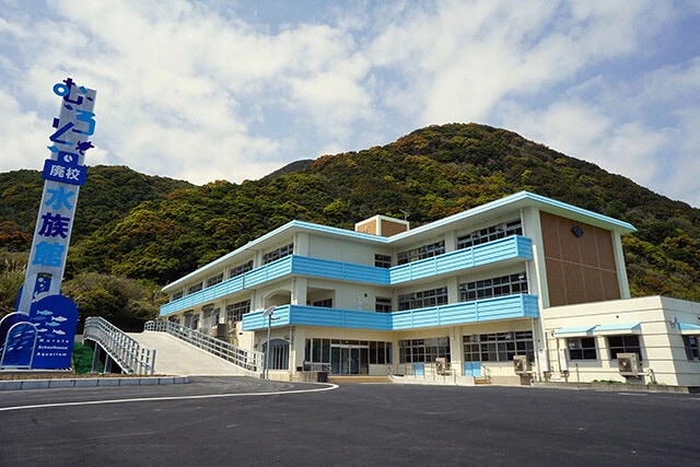 跳び箱の中で魚が泳ぎプールでサメがのんびり【むろと廃校水族館】