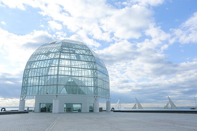 高級魚クロマグロだけじゃないマニアも楽しめる充実した水族館【葛西臨海水族園】