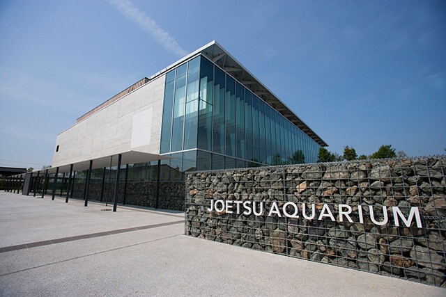 日本海に臨む美しすぎる大水槽【上越市立水族博物館　うみがたり】