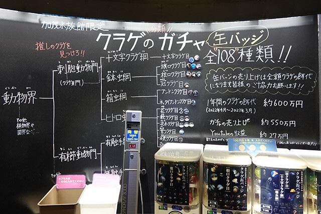 クラゲの聖地だけあって、クラゲに特化したガチャまで。売り上げはエサ代など、全額クラゲに還元される