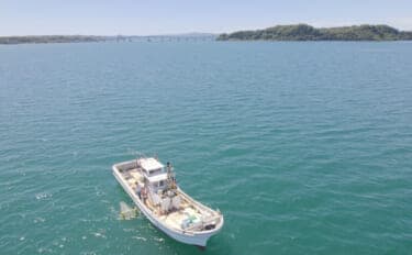 日本沿岸はマイクロプラスチックのホットスポット 海底への蓄積など汚染実態が明らかに