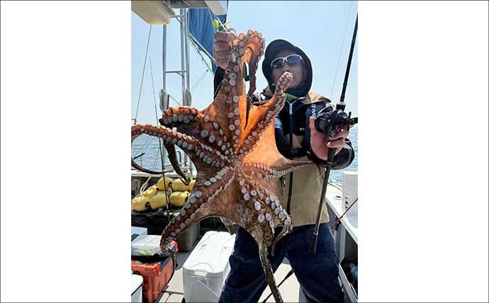 石鯛五目便で好ゲスト混じりに本命イシダイ顔見せ【船釣り最新情報／大分・熊本】