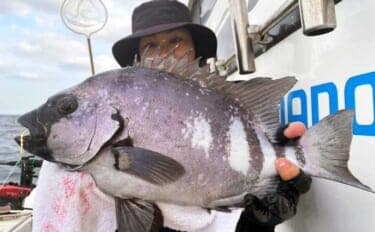 石鯛五目便で好ゲスト混じりに本命イシダイ顔見せ【船釣り最新情報/大分・熊本】