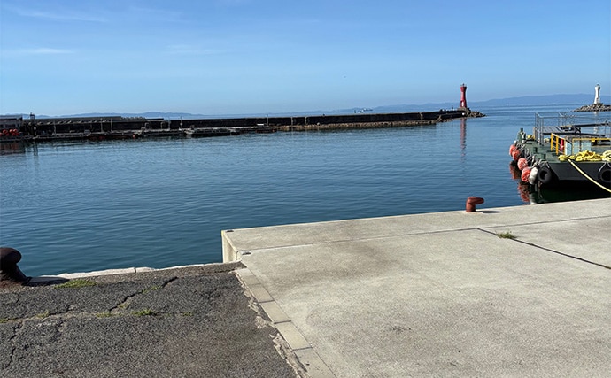 深日港アジング釣行で本命マアジ5尾キャッチ【大阪】前日の大雨による水潮に苦戦