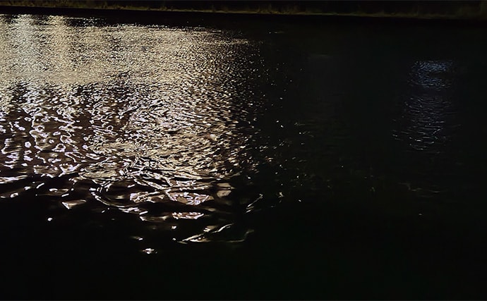 「食わないボイルが多発！」 バイブレーション早巻きで50cm超えクロダイ浮上