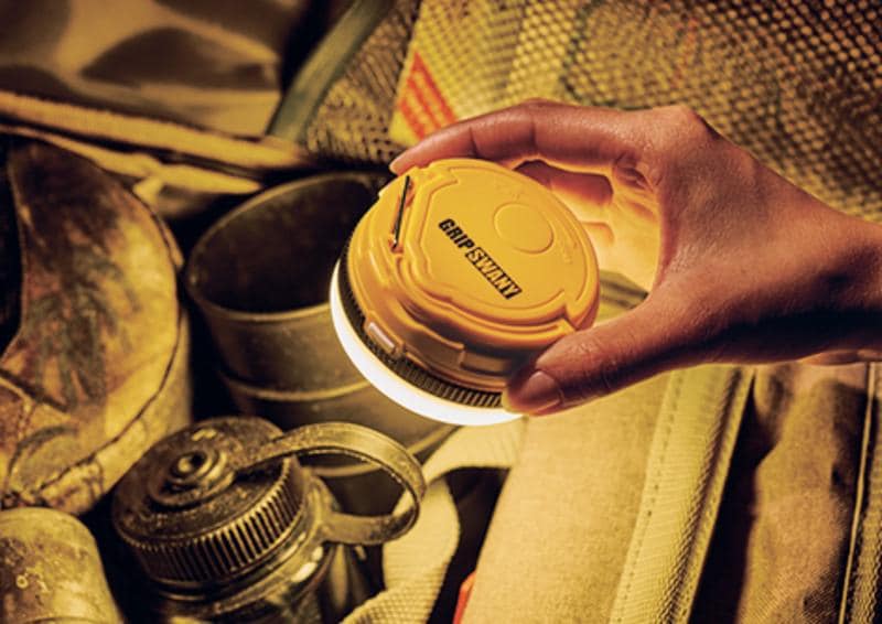 BE-PAL最新号の特別付録は、GRIP