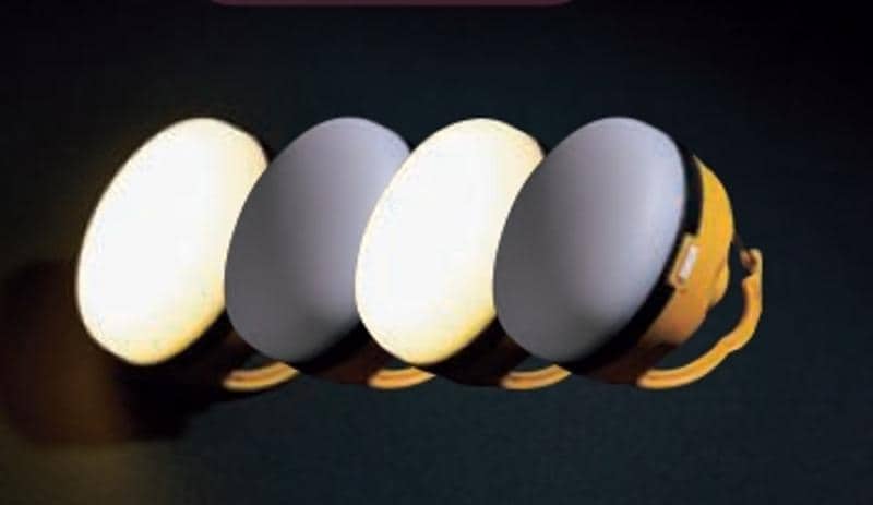 BE-PAL最新号の特別付録は、GRIP