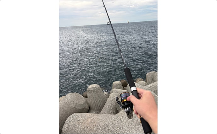 「秋は陸で青物を釣るチャンス!」ライトショアジギング(LSJ)の季節別ターゲットを紹介