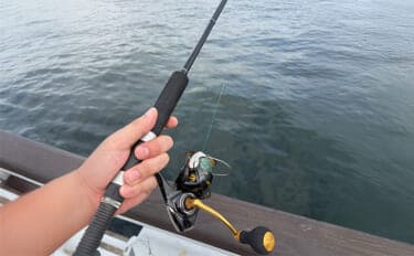 「秋は陸で青物を釣るチャンス!」ライトショアジギング(LSJ)の季節別ターゲットを紹介