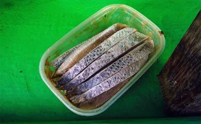 「型も数もバッチリ!」東京湾天秤タチウオ釣りでF4級25本キャッチ【神奈川・又エム丸】