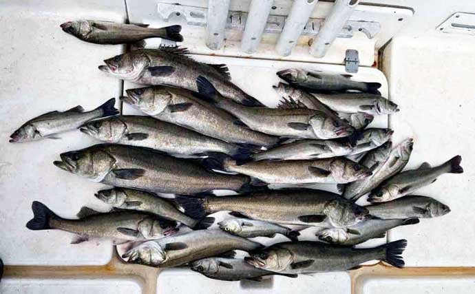 【沖のルアー釣果速報】持ち上がらないほどの重量感!ジギング船で7kg超えブリ手中に歓喜(愛知)