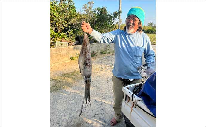 伊是名島で出会った正真正銘の「海人」の話　アオリイカともずくが繋いだ冬の記憶
