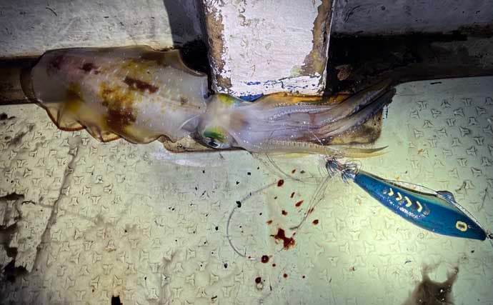 伊是名島で出会った正真正銘の「海人」の話　アオリイカともずくが繋いだ冬の記憶