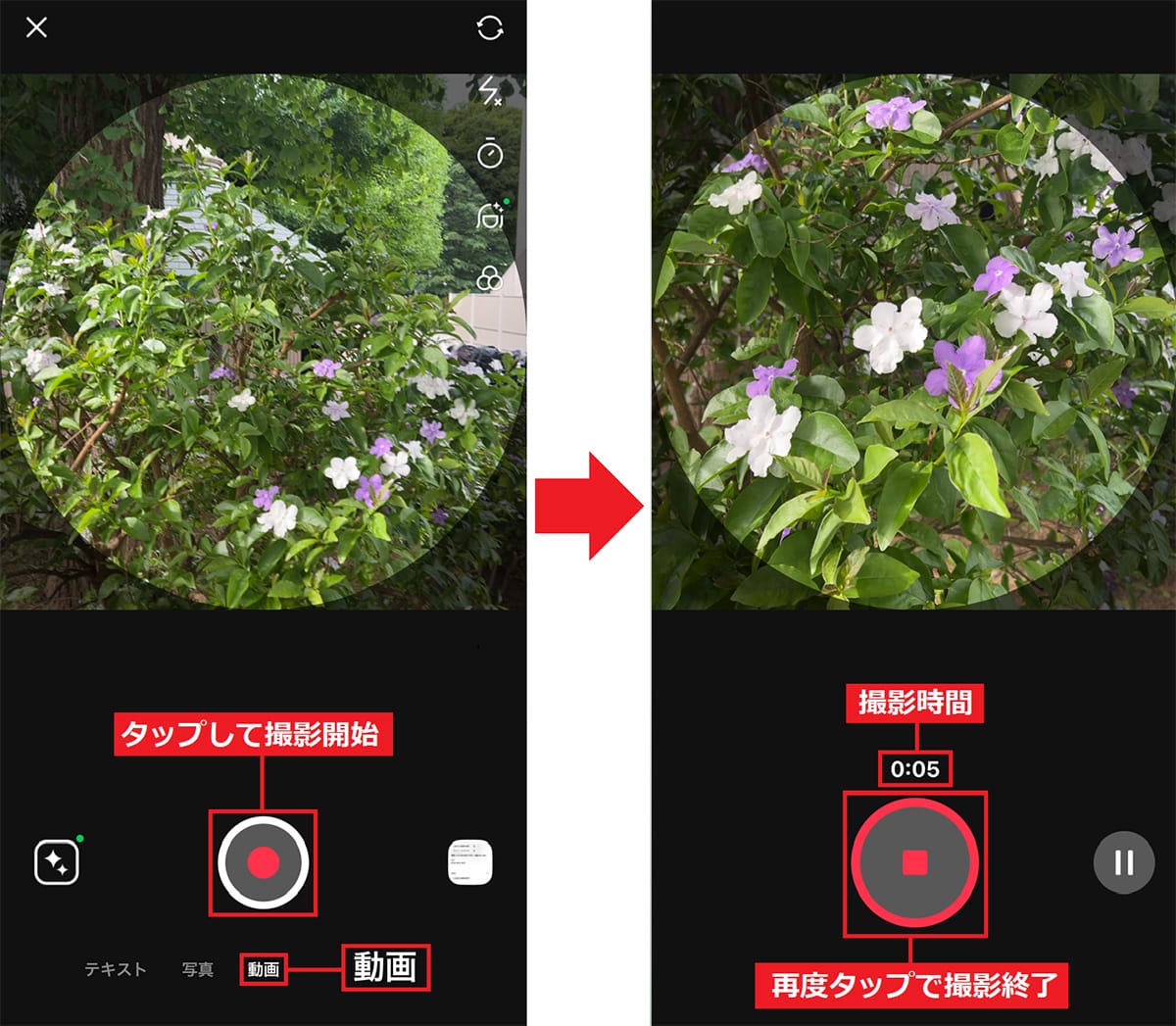 <チェック中>LINEのプロフィールアイコンを動画に設定する方法 最大6秒まで設定OKの画像7