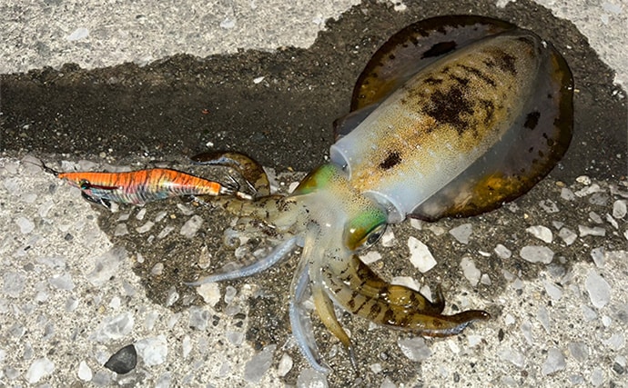 陸っぱり遠征釣行でレアなゲスト魚含む11魚種と対面【大分】 名物「とり天」も堪能
