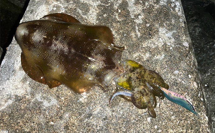陸っぱり遠征釣行でレアなゲスト魚含む11魚種と対面【大分】 名物「とり天」も堪能
