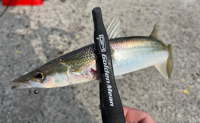 陸っぱり遠征釣行でレアなゲスト魚含む11魚種と対面【大分】 名物「とり天」も堪能