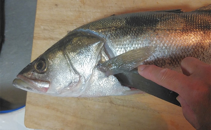 「釣り人の特権」レシピ:スズキのあばら 塩を振って焼くだけで美味しい!