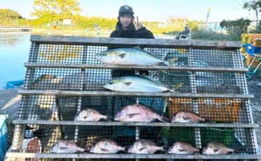 【海上釣り堀釣果速報】少年がワラサ2匹&大ダイを堂々キャッチ!マダイ7匹も加わり豪華釣果(愛知・三重)