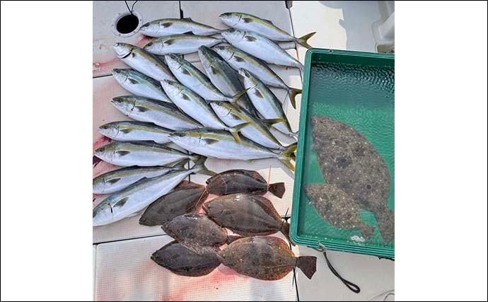 周防灘の泳がせ釣りで75cm大判を筆頭に船中8尾のヒラメを手中【山口】青物や根魚もヒット！