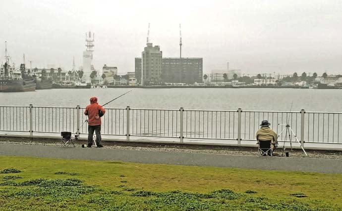 木更津港のサビキ釣りでラスト1時間にアジ回遊！【千葉】悪天候を耐えて本命4尾確保