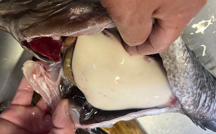 「良型クロは簡単じゃない！」磯フカセ釣りで重量級ヒットが連発【宮崎】