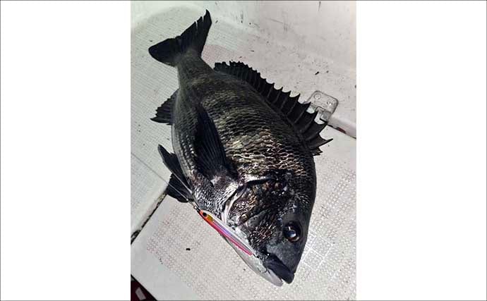 人気上昇中の『チヌジギ』ゲームで年無し含みクロダイ全員安打達成！【三重】