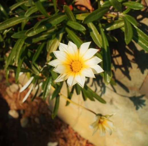 Instagram:鈴木愛理(@airisuzuki_official_uf)より