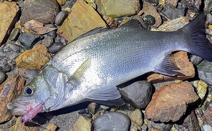 浜名湖でルアー釣りを楽しむなら「ライトゲームタックル」が圧倒的にオススメな理由