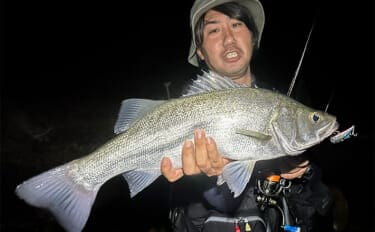 浜名湖でルアー釣りを楽しむなら「ライトゲームタックル」が圧倒的にオススメな理由