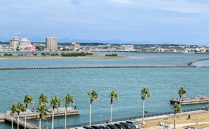 浜名湖でルアー釣りを楽しむなら「ライトゲームタックル」が圧倒的にオススメな理由