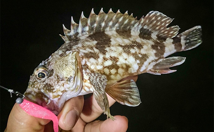 浜名湖でルアー釣りを楽しむなら「ライトゲームタックル」が圧倒的にオススメな理由