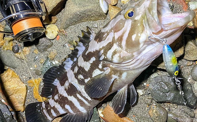 浜名湖でルアー釣りを楽しむなら「ライトゲームタックル」が圧倒的にオススメな理由
