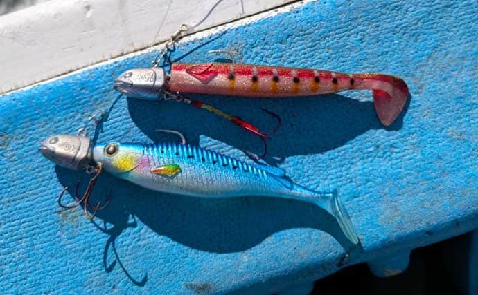 船のルアータチウオゲームでドラゴン級連発【茨城・久保丸】浅場20mをジグヘッド＋ワームで攻略