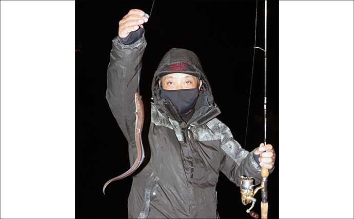 誰でもできるアナゴの夜釣り入門　必要タックル・釣り方・さばき方まで総まとめ