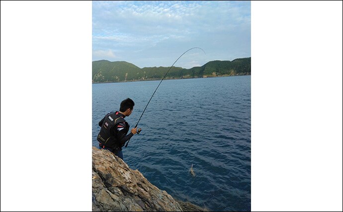 磯でのエギング＆フカセ釣りを堪能【大分・米水津】アオリにグレに大型カワハギでお土産十分