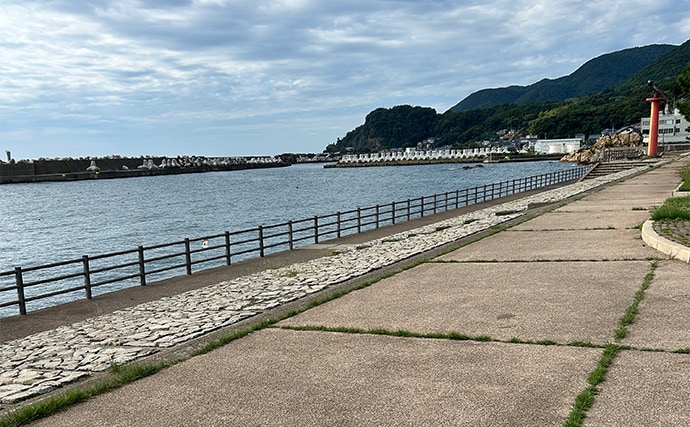 越前のヤエン釣りでアオリイカ当たりっぱなし!【福井】これぞ最盛期の釣り