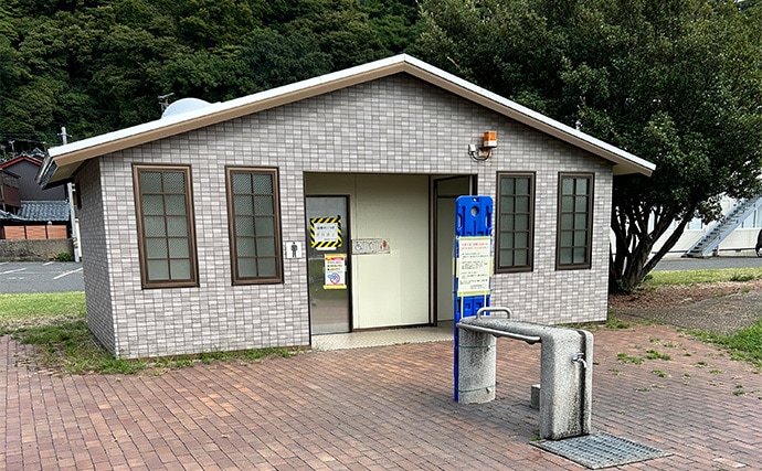 越前のヤエン釣りでアオリイカ当たりっぱなし!【福井】これぞ最盛期の釣り