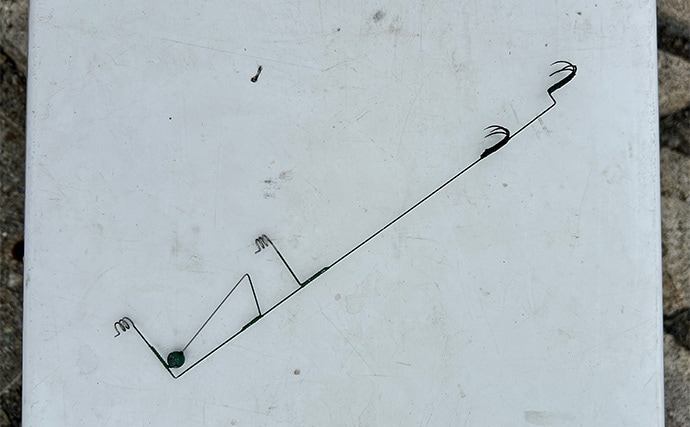 越前のヤエン釣りでアオリイカ当たりっぱなし!【福井】これぞ最盛期の釣り