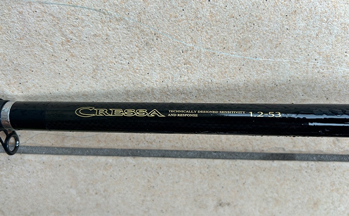 越前のヤエン釣りでアオリイカ当たりっぱなし!【福井】これぞ最盛期の釣り