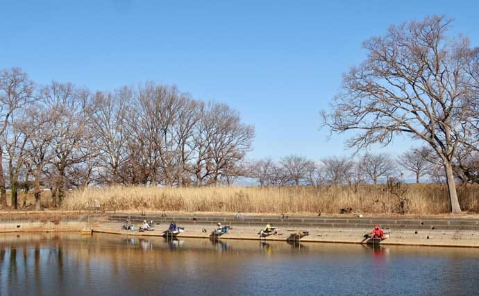 今週のヘラブナ推薦釣り場2026【群馬県・群馬の水郷】