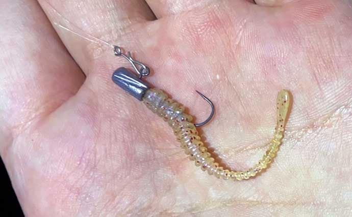 ライトゲーム代表的スナップ2選の違いとは？ 【簡易タイプ・クロスタイプ】