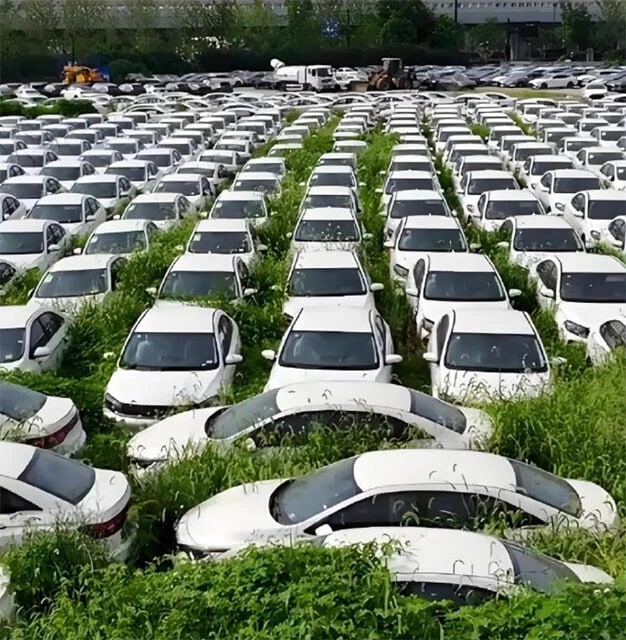 過剰生産で行き場を失ったEVが滞留している中国では、「EV墓地」の出現も報告されている