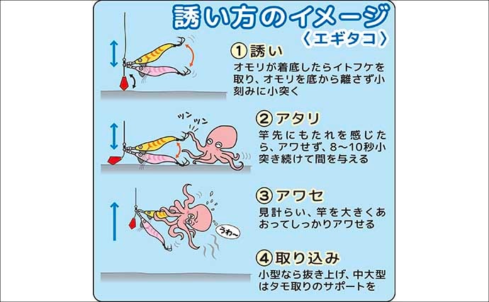 茨城＆東京湾で始めるエギタコ釣り：失敗しない誘い方とアワセ完全ガイド