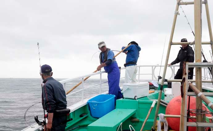 茨城＆東京湾で始めるエギタコ釣り：失敗しない誘い方とアワセ完全ガイド