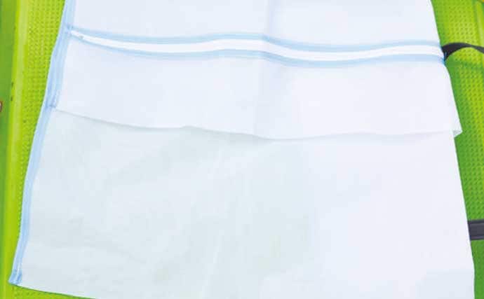 茨城＆東京湾で始めるエギタコ釣り：失敗しない誘い方とアワセ完全ガイド